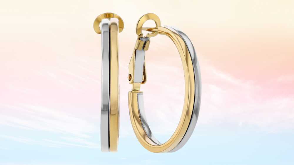 Double Hoop Earrings